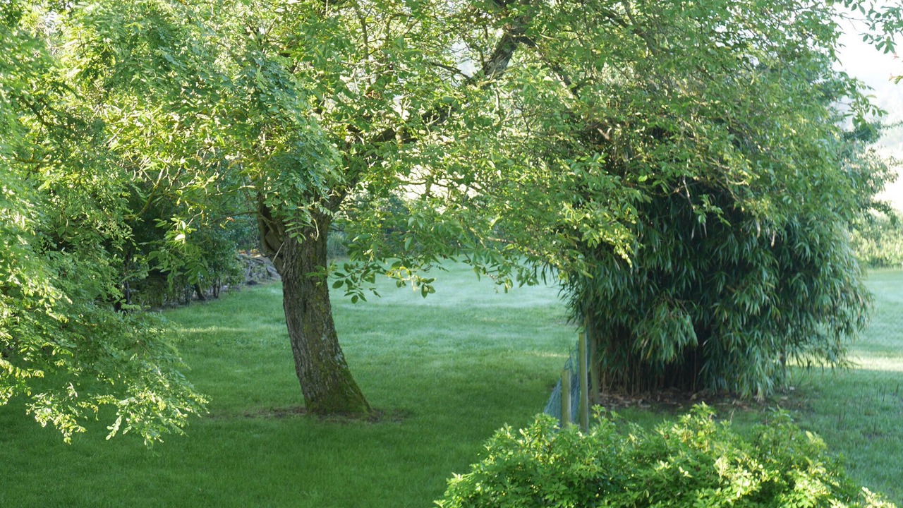 Photo of Outdoor in Padies