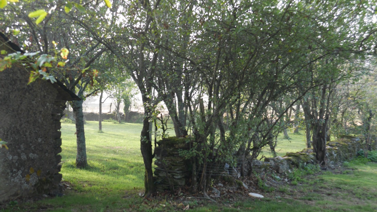 Photo of Outdoor in Padies