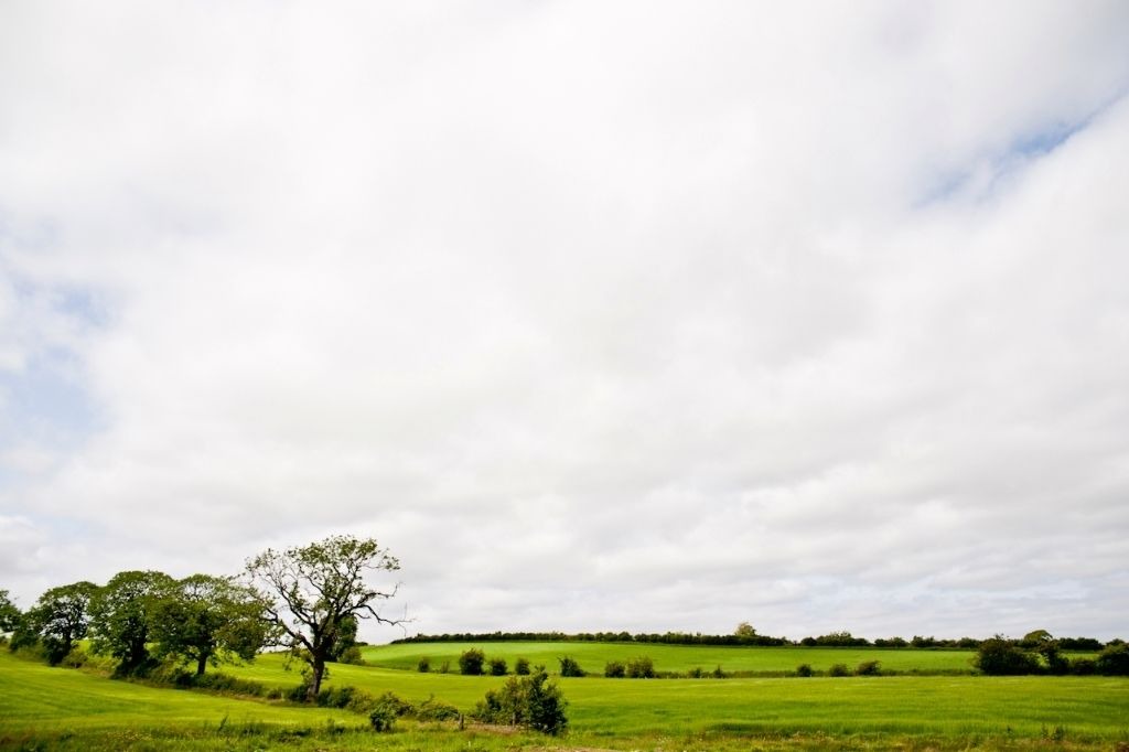 Photo of Others in Strathaven