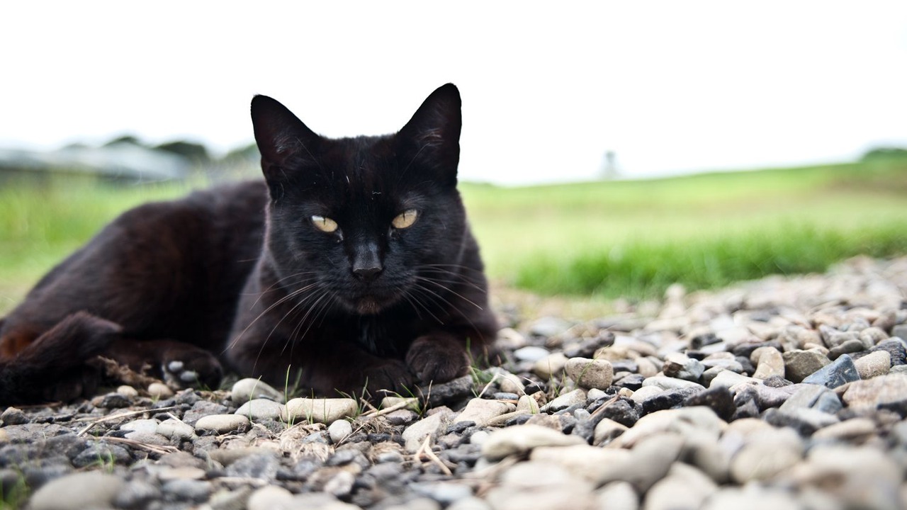 Photo of Outdoor in Strathaven