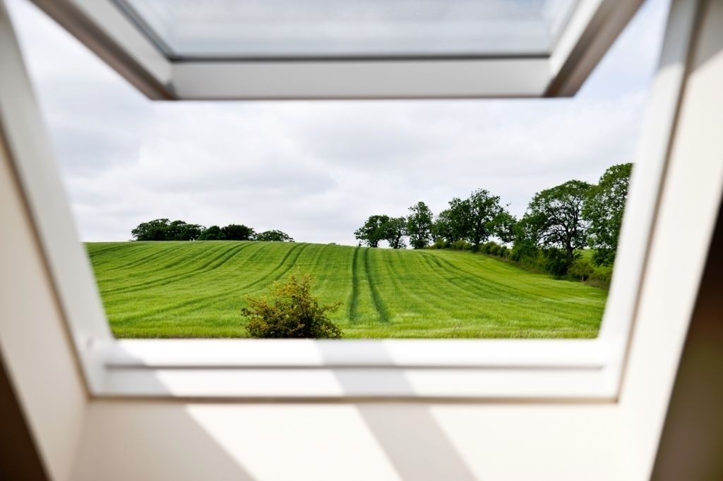 Photo of Others in Strathaven