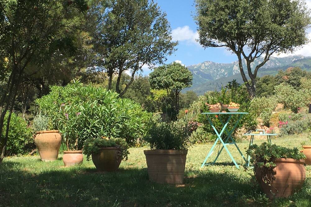 Photo of Outdoor in Macanet de Cabrenys