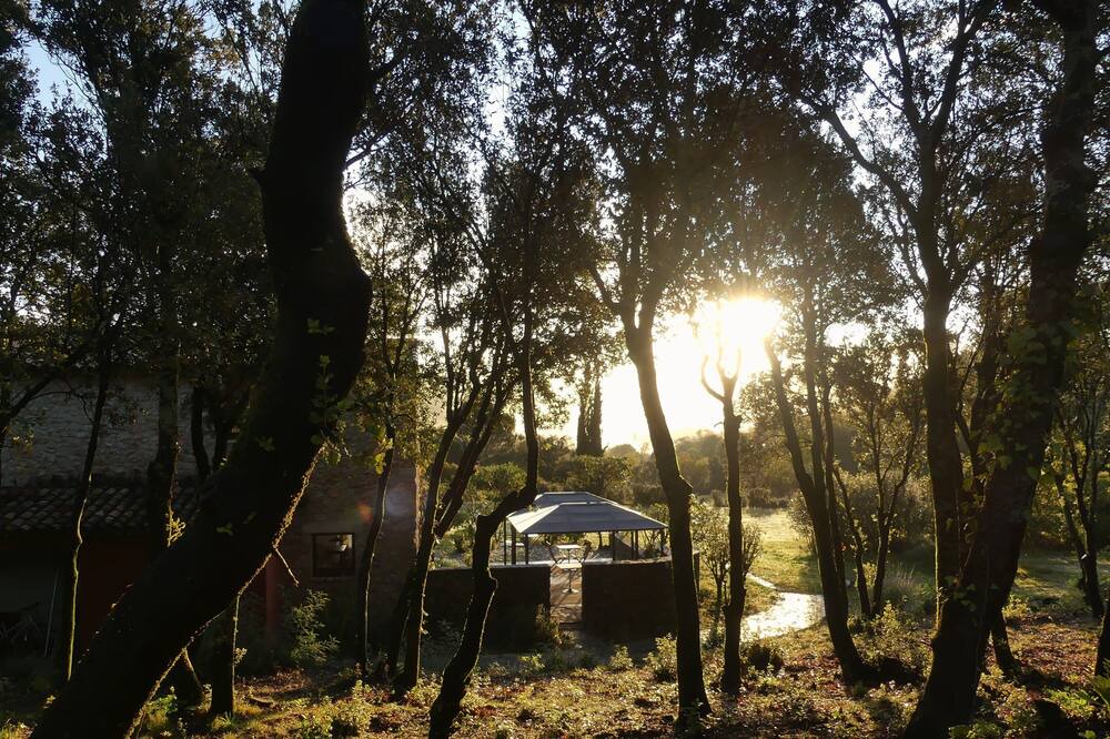 Photo of Outdoor in Macanet de Cabrenys