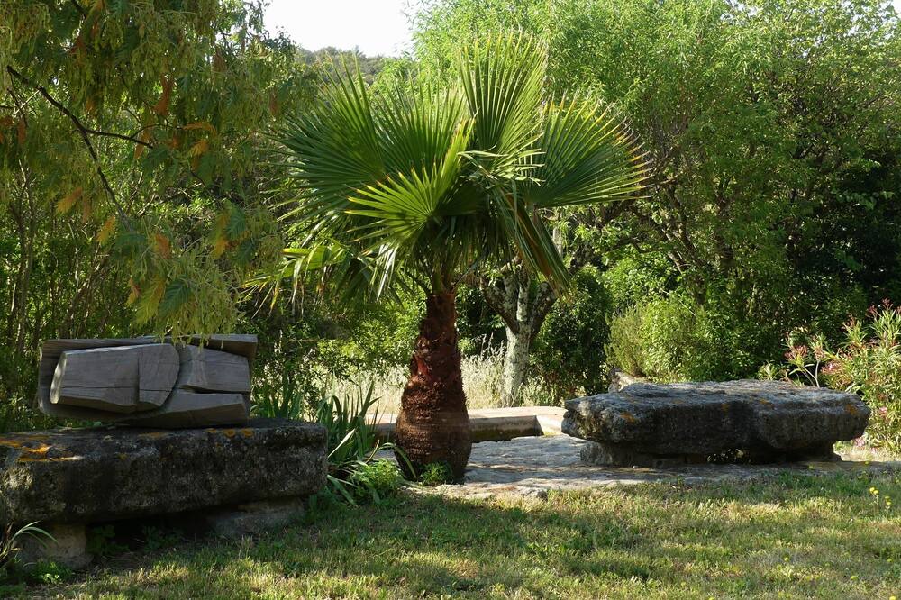 Photo of Outdoor in Macanet de Cabrenys