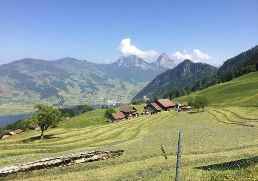 Photo of Others in Lauerz