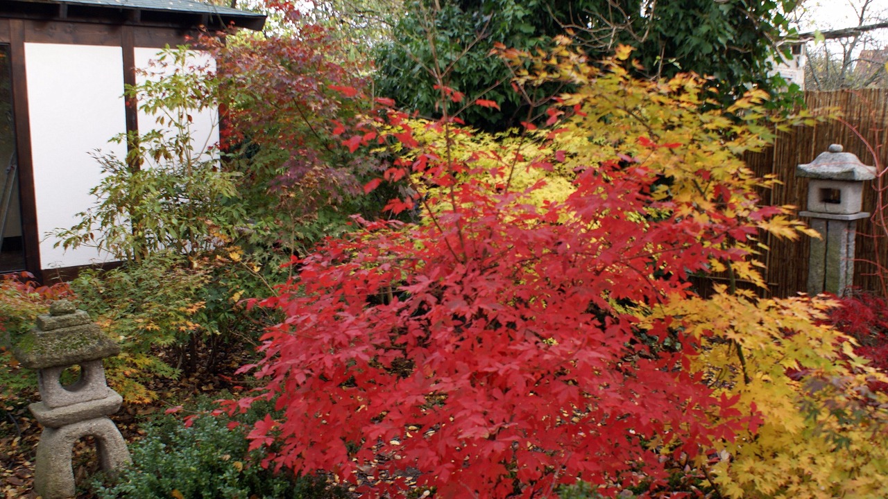 Photo of Outdoor in Goetzenbruck