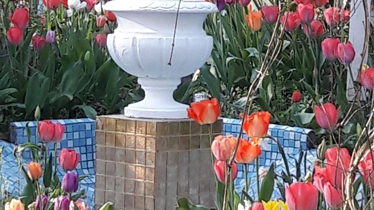 Photo of Outdoor in Goetzenbruck