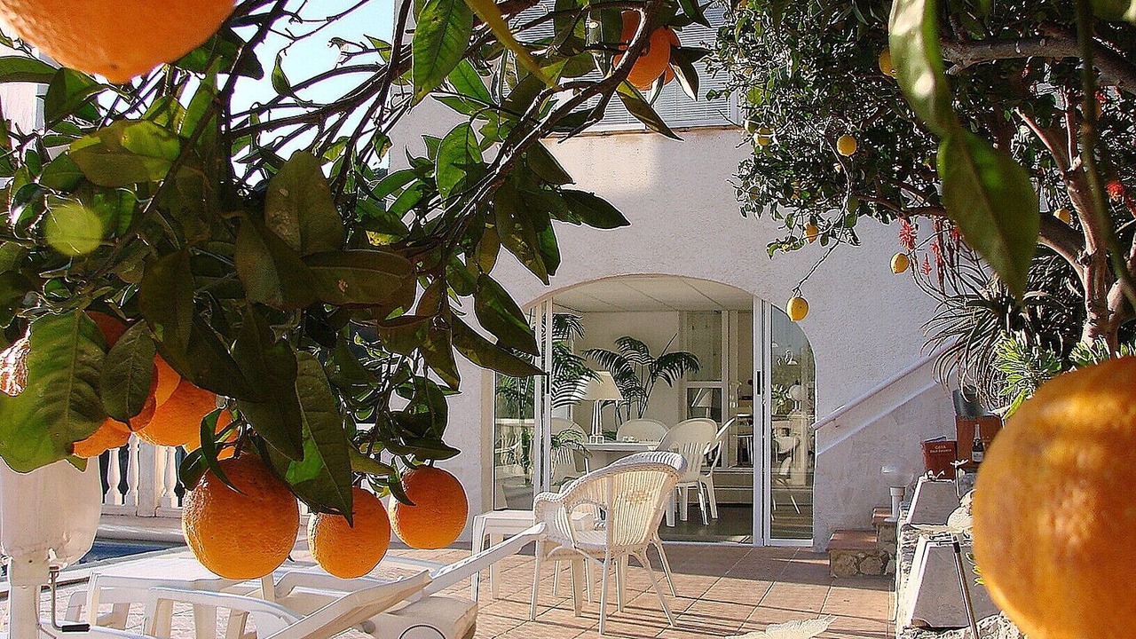 Photo of Outdoor in Real de Gandia