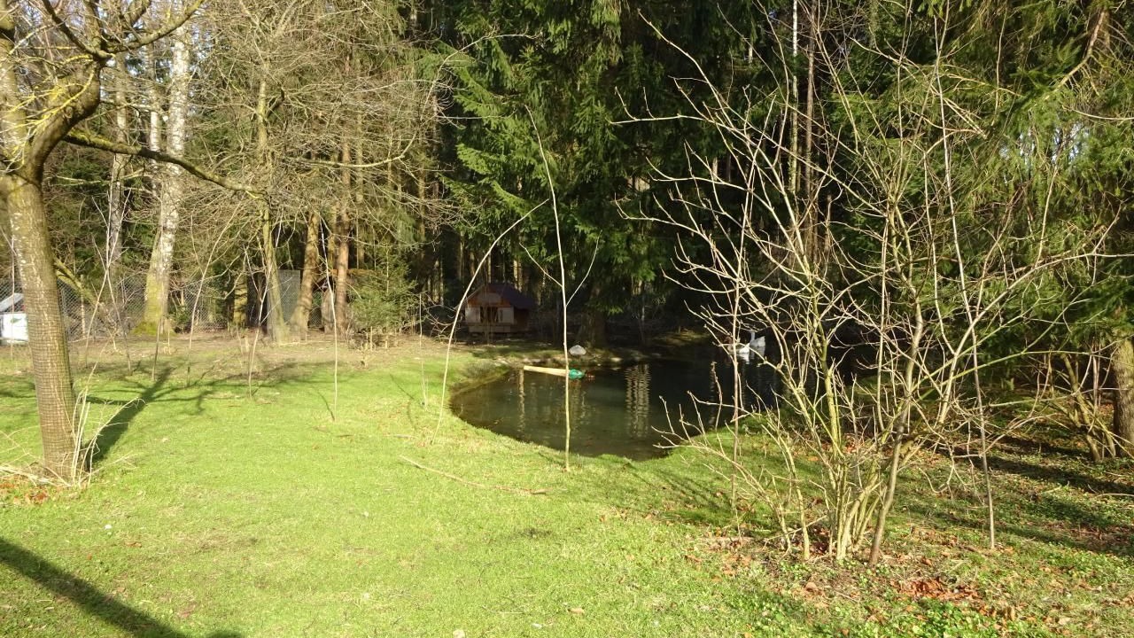 Photo of Outdoor in Hauptwil-Gottshaus