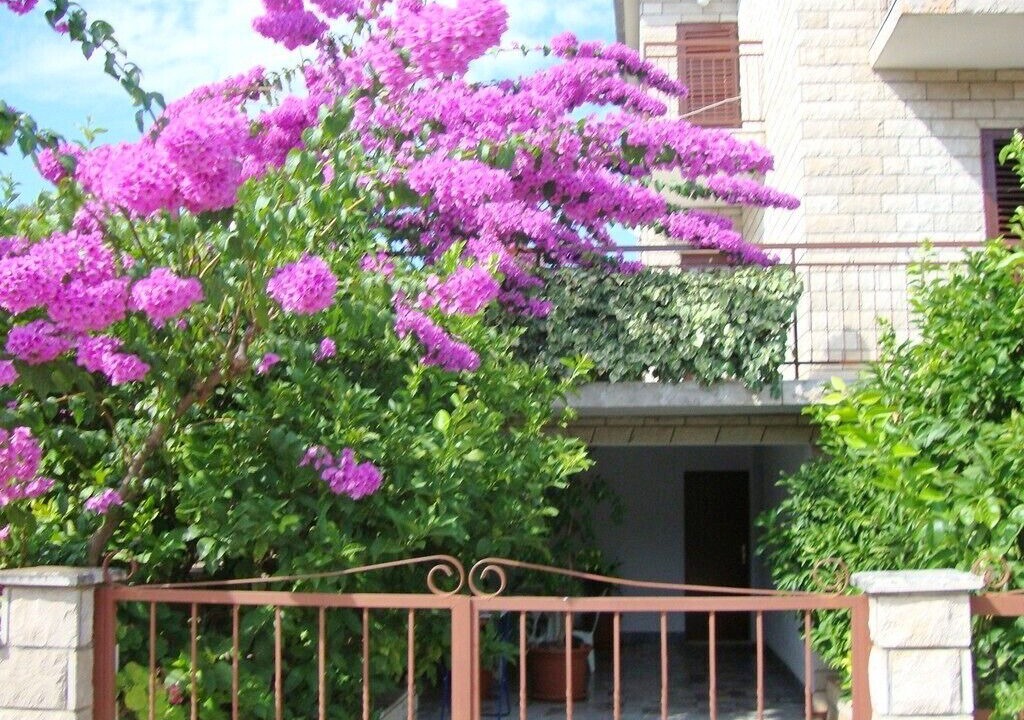 Photo of Outdoor in Stari Grad