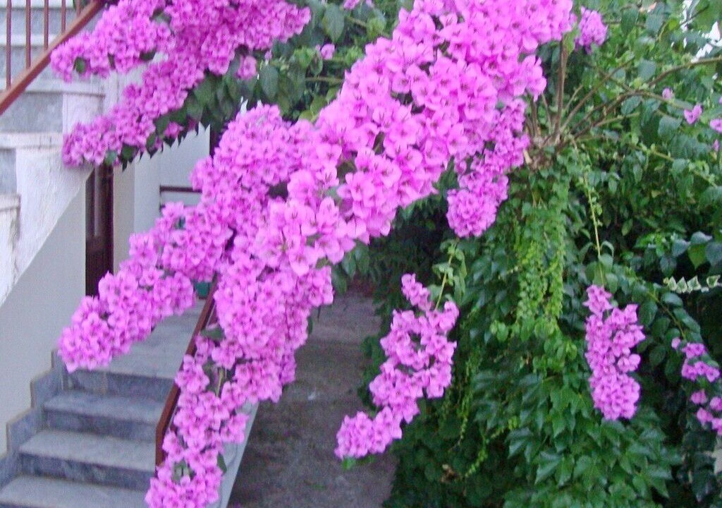 Photo of Outdoor in Stari Grad