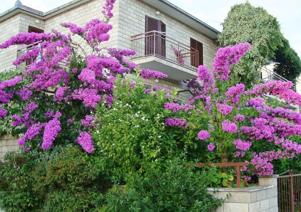 Photo of Outdoor in Stari Grad