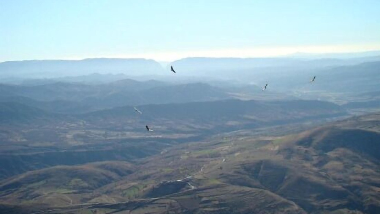 Photo of Others in Sobrecastell