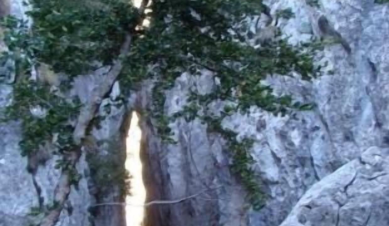 Photo of Others in Sobrecastell