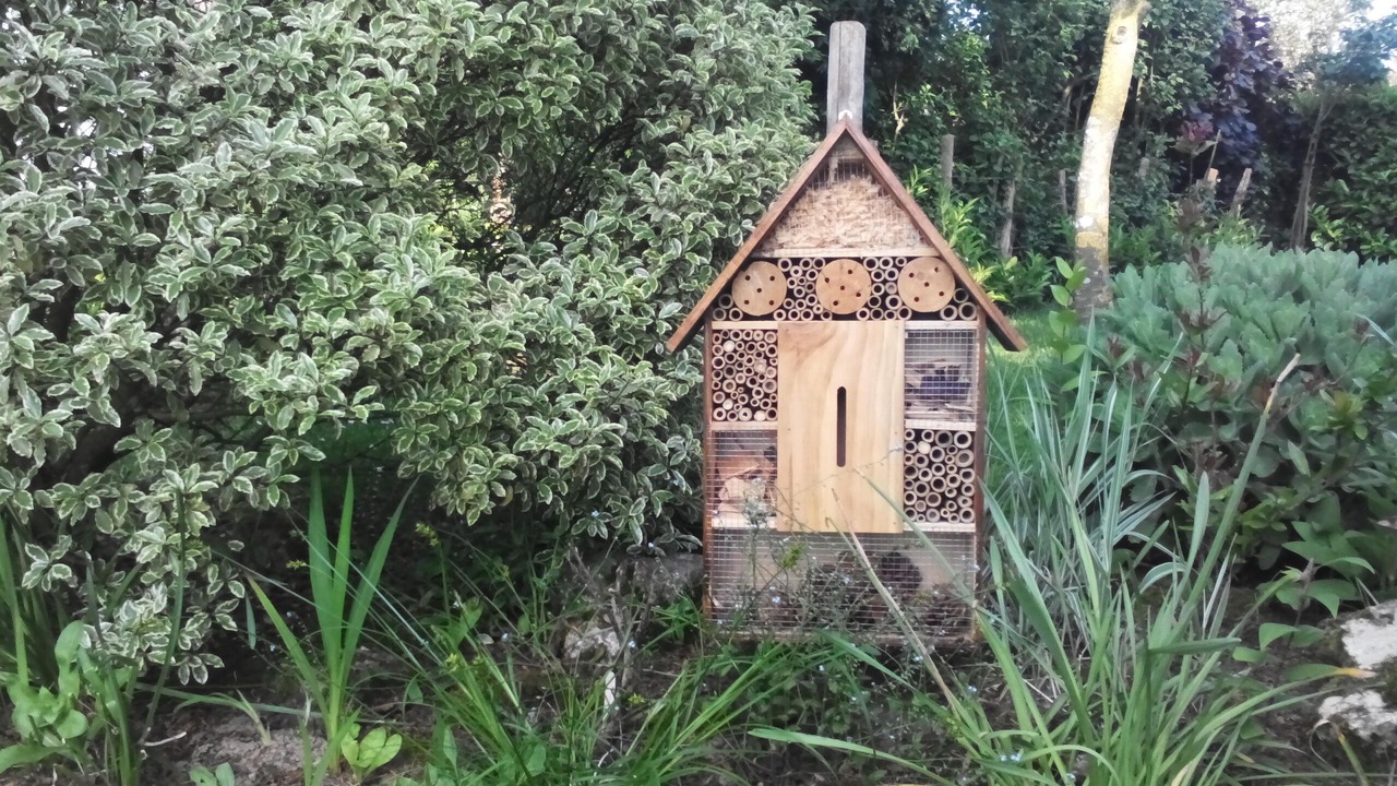 Photo of Outdoor in La Chapelle-Themer