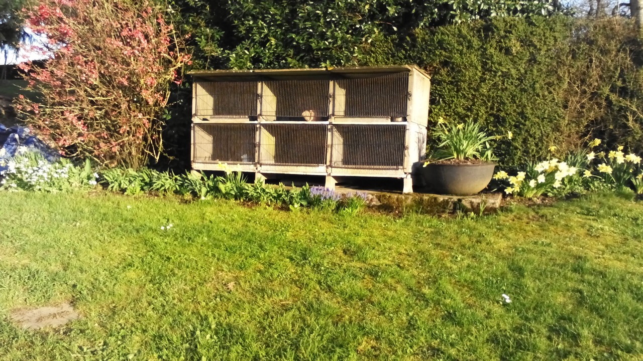 Photo of Outdoor in La Chapelle-Themer