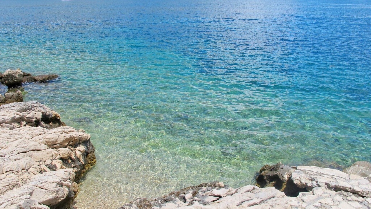 Photo of Others in Cove Tri Zala (Zrnovo)
