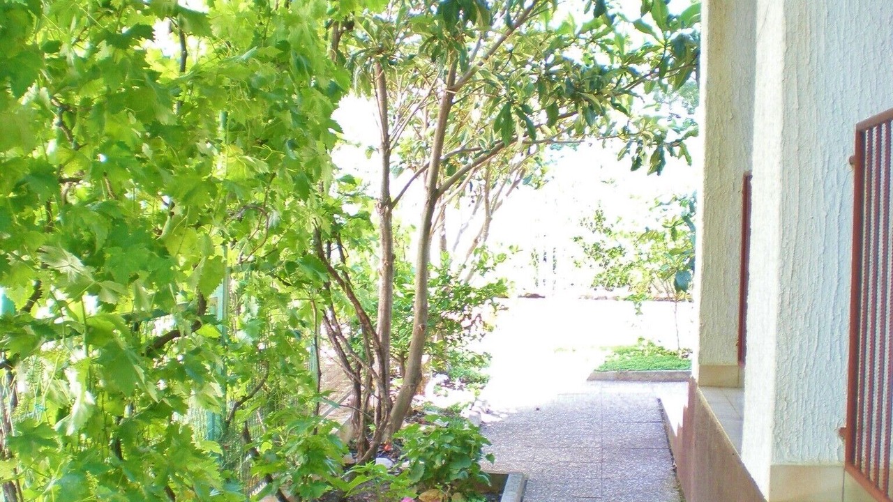 Photo of Outdoor in Cove Makarac (Milna)