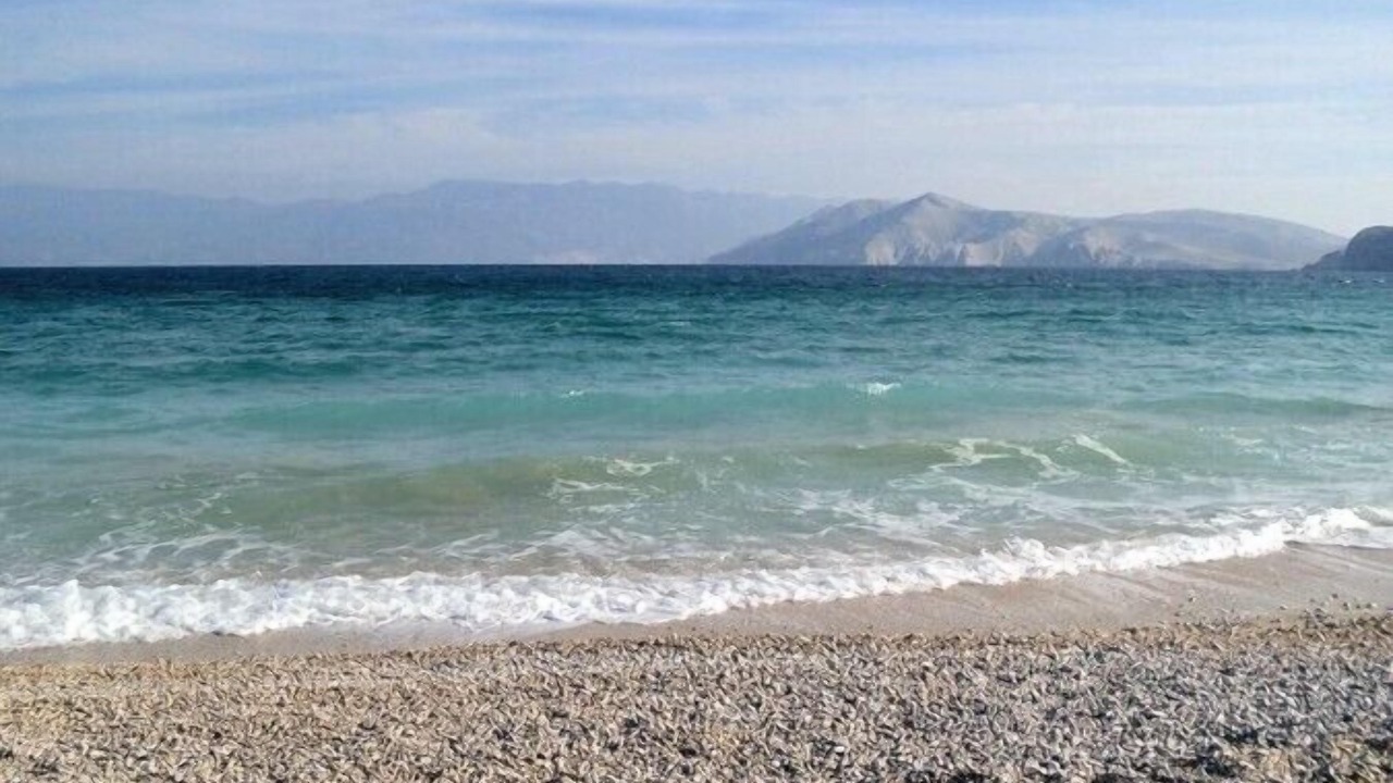 Photo of Others in Baska