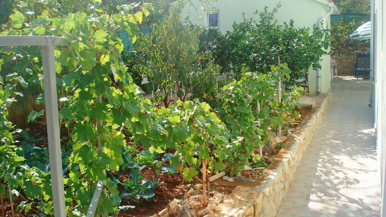 Photo of Outdoor in Supetar