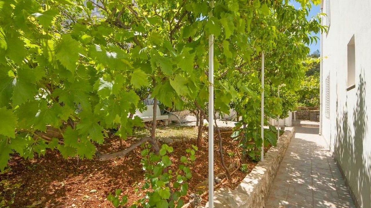 Photo of Outdoor in Supetar
