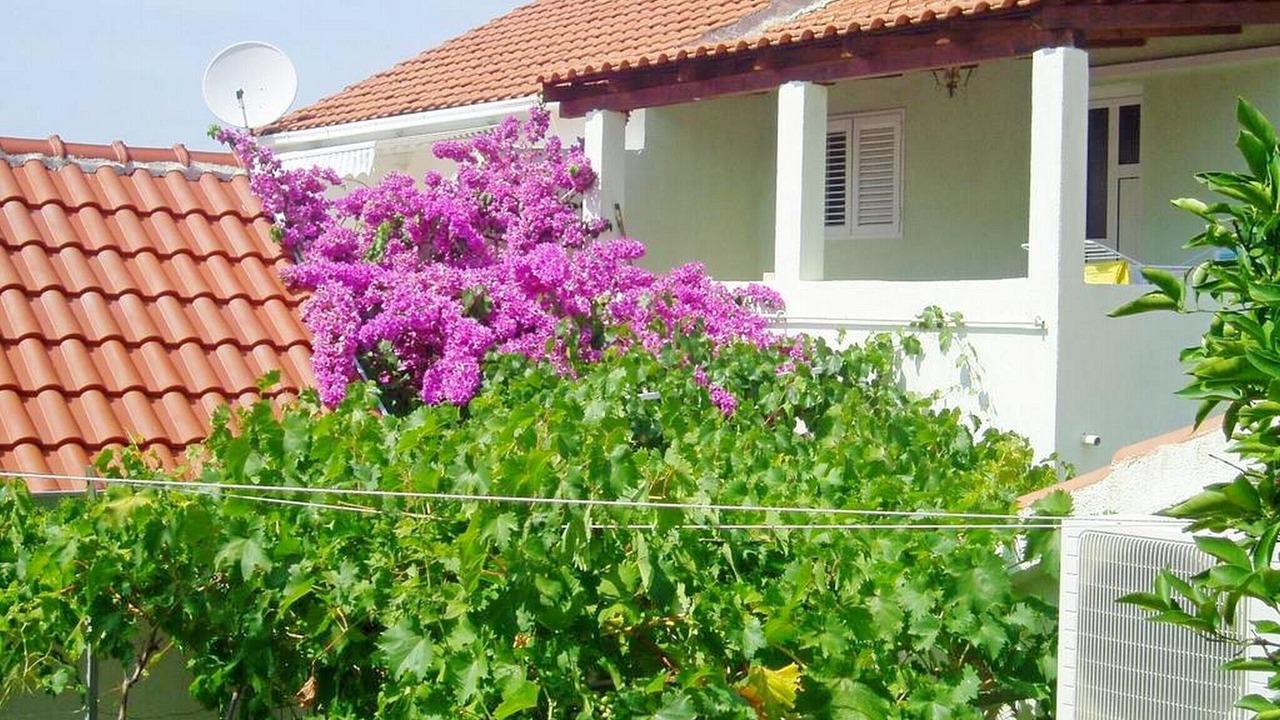 Photo of Outdoor in Supetar