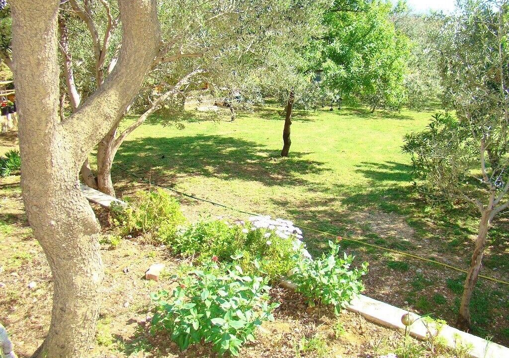Photo of Outdoor in Simuni
