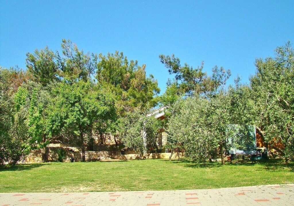Photo of Outdoor in Simuni