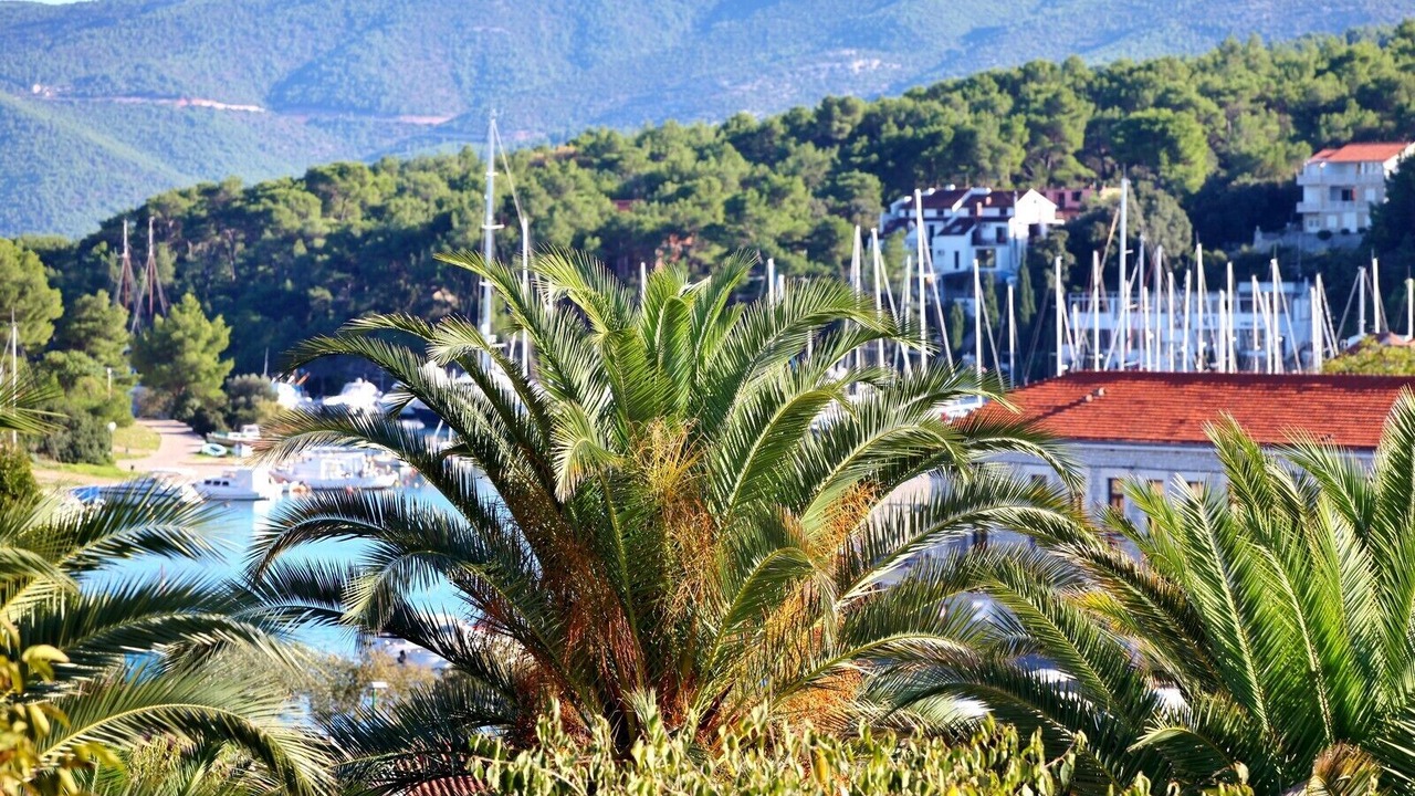 Photo of Outdoor in Vrboska