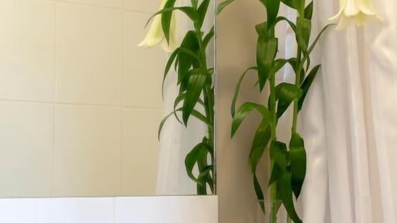 Photo of Others in Kemptown