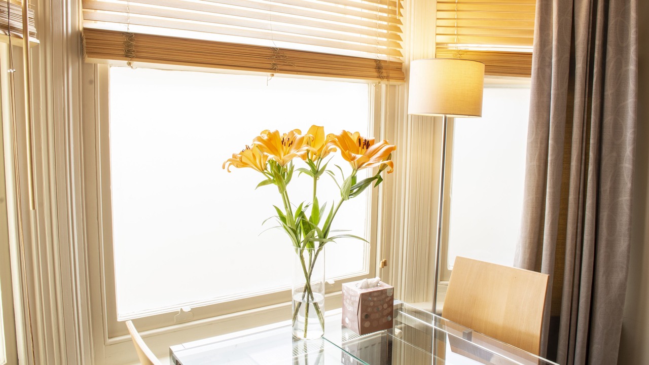 Photo of Others in Kemptown