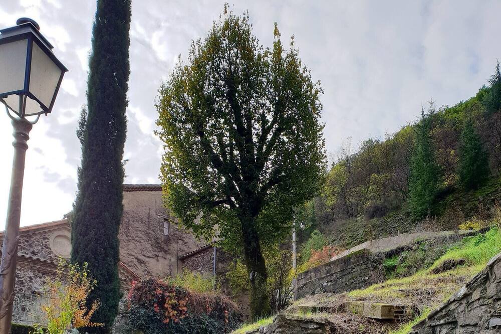 Photo of Others in Saint-Laurent-le-Minier