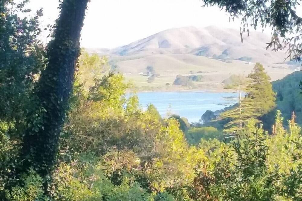 Photo of Others in Inverness