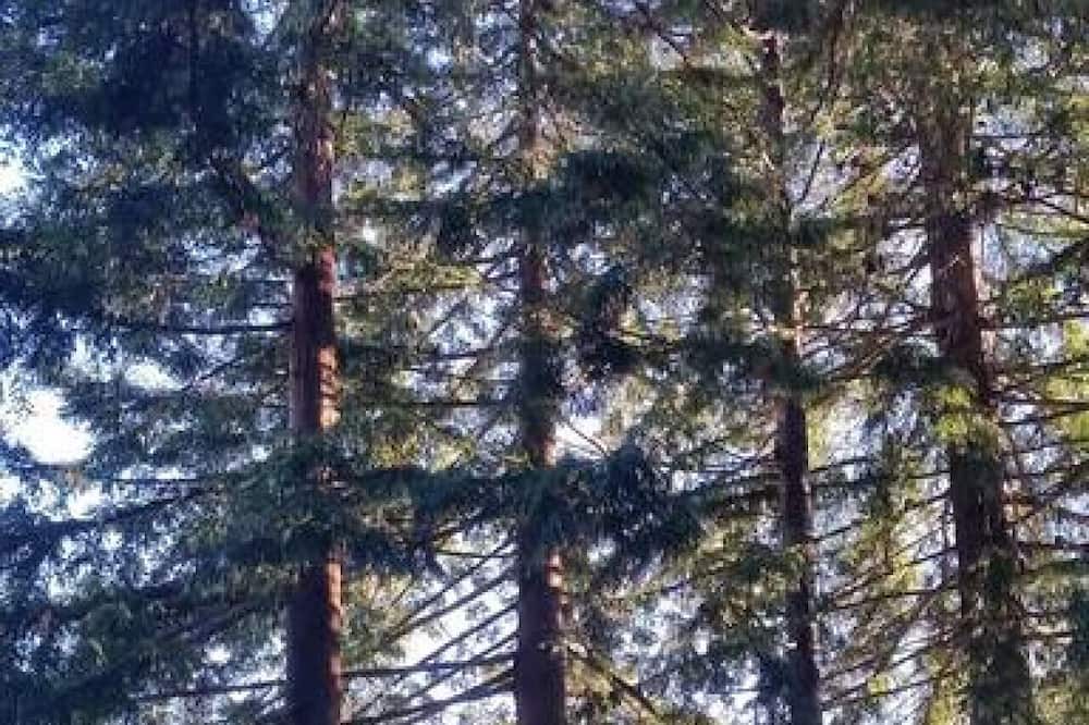 Photo of Others in Inverness