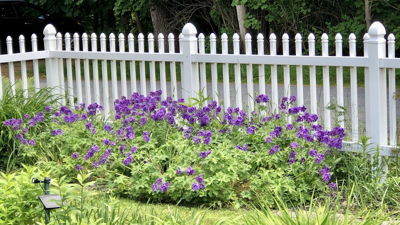 Photo of Outdoor in Alexandria Bay