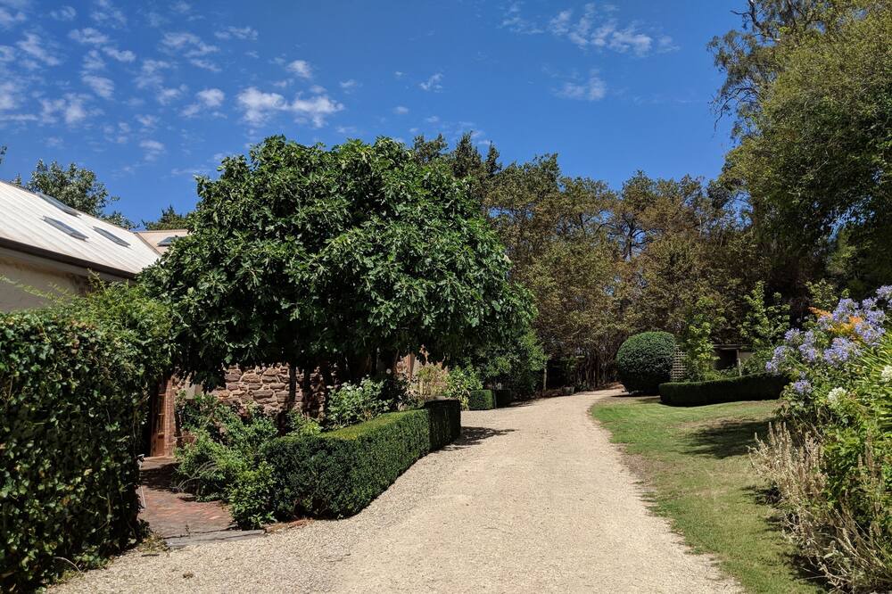 Photo of Outdoor in Blakiston