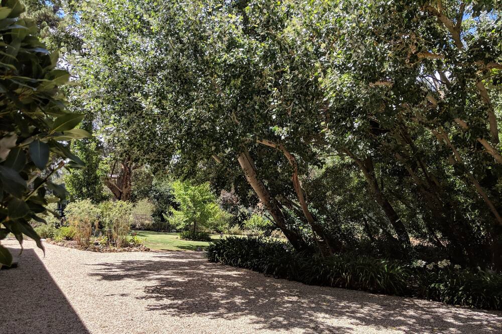 Photo of Outdoor in Blakiston