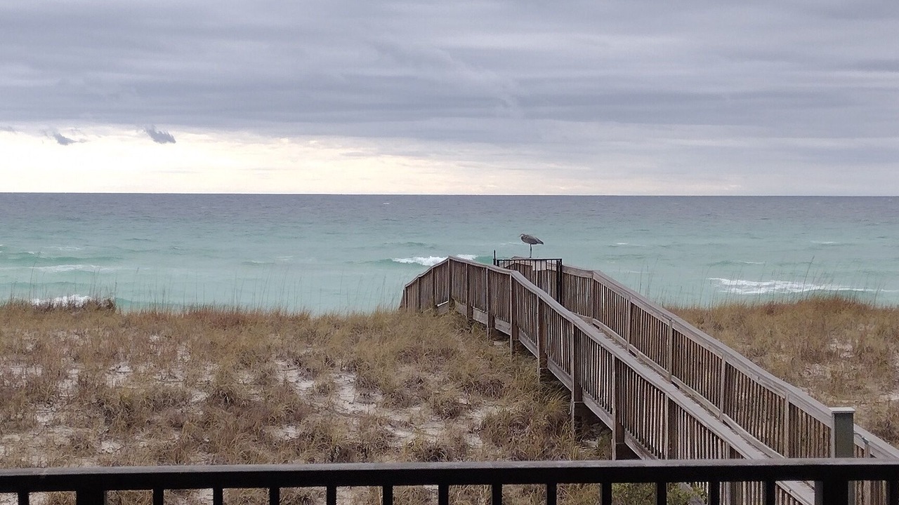Photo of Outdoor in Navarre Beach
