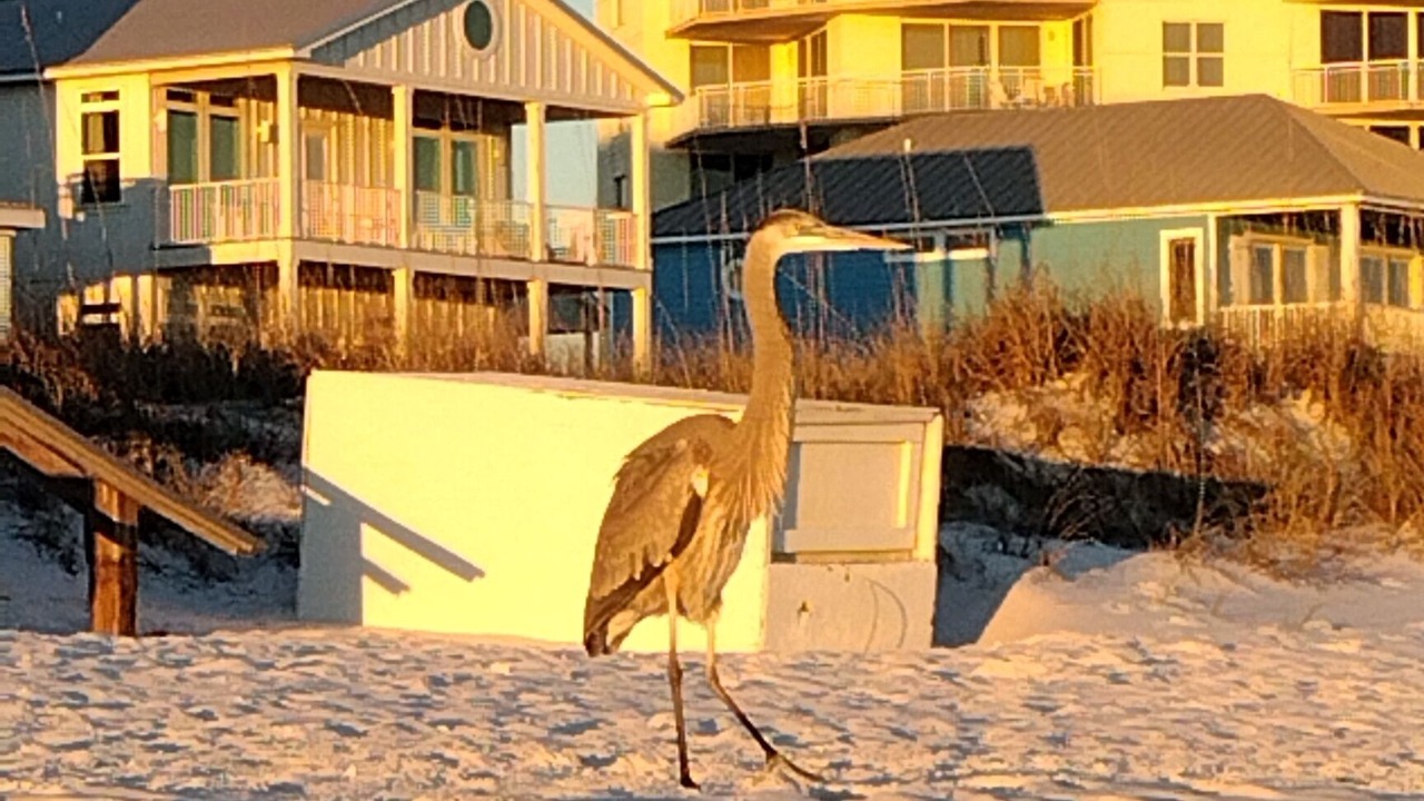 Photo of Outdoor in Navarre Beach