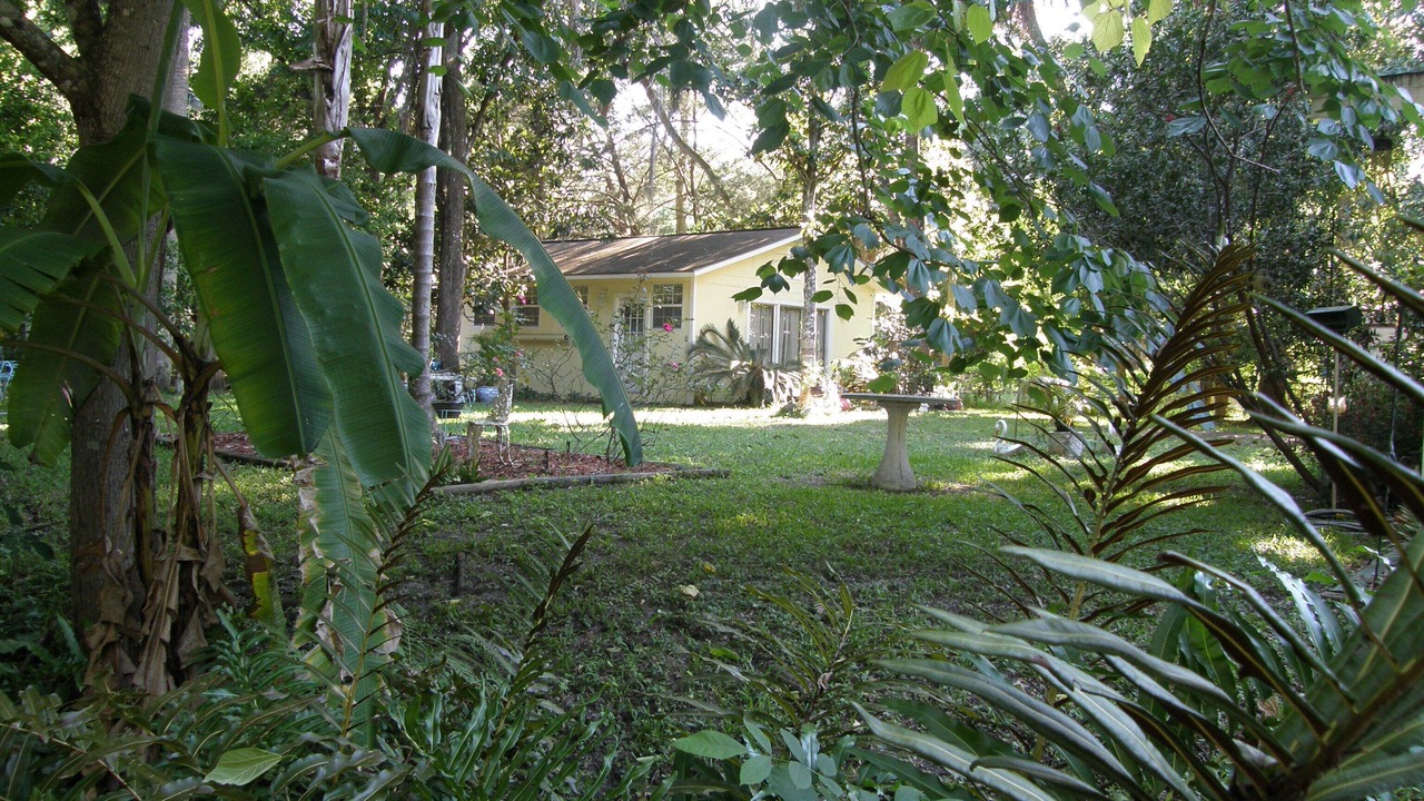 Photo of Outdoor in Homosassa