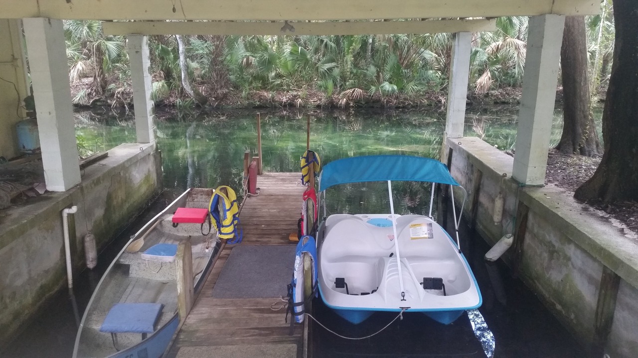 Photo of Outdoor in Homosassa