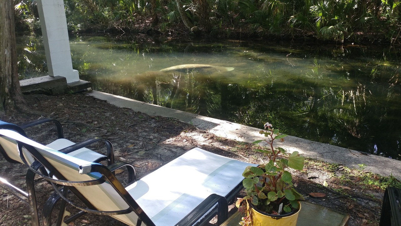 Photo of Outdoor in Homosassa