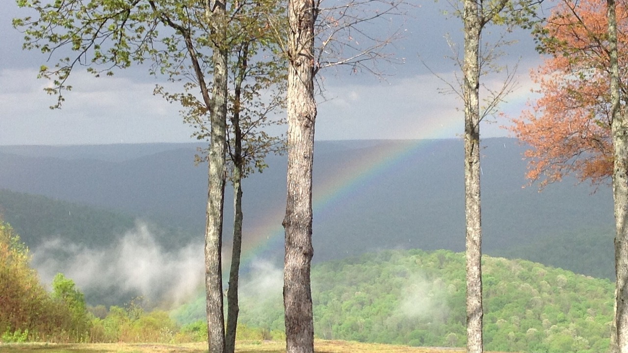 Photo of Outdoor in Altamont