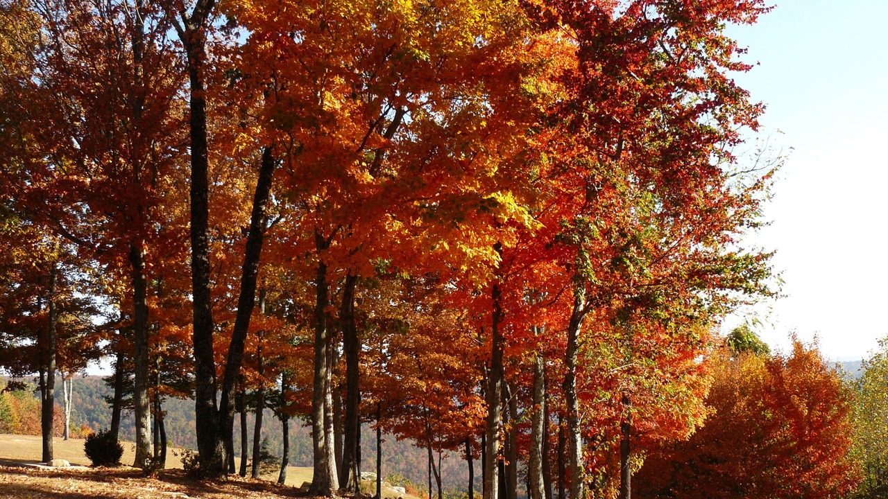 Photo of Outdoor in Altamont