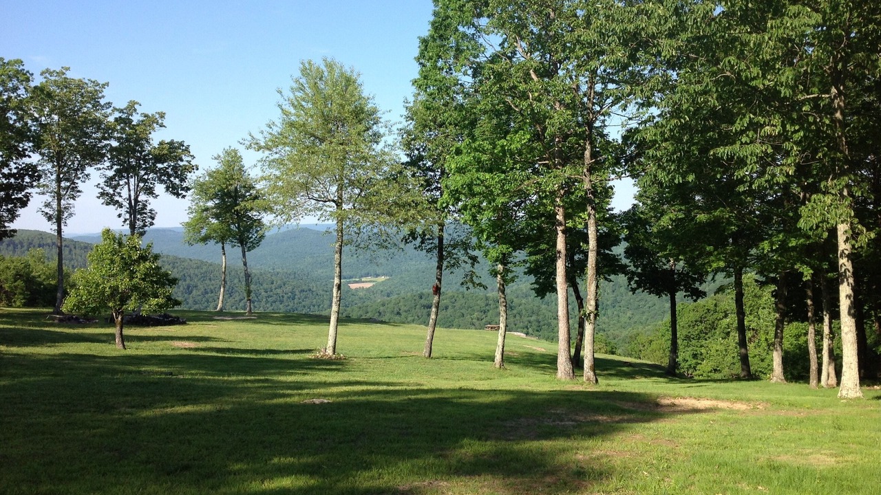 Photo of Outdoor in Altamont