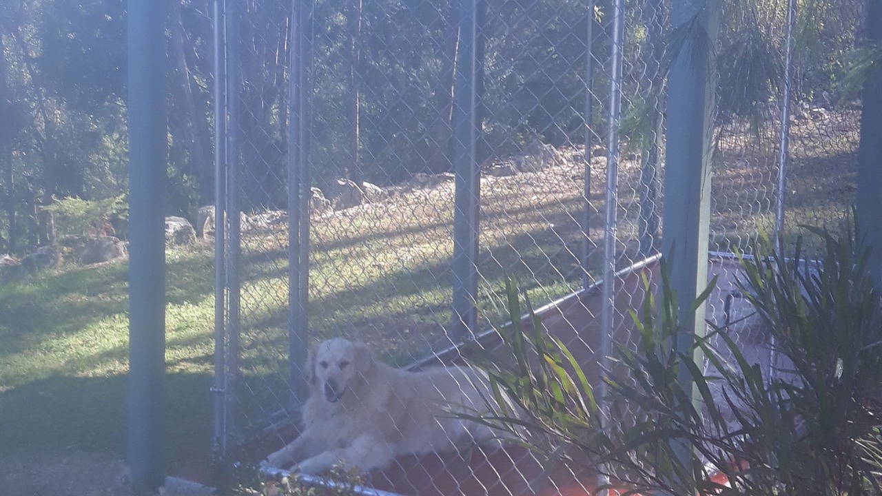 Photo of Outdoor in Invergordon