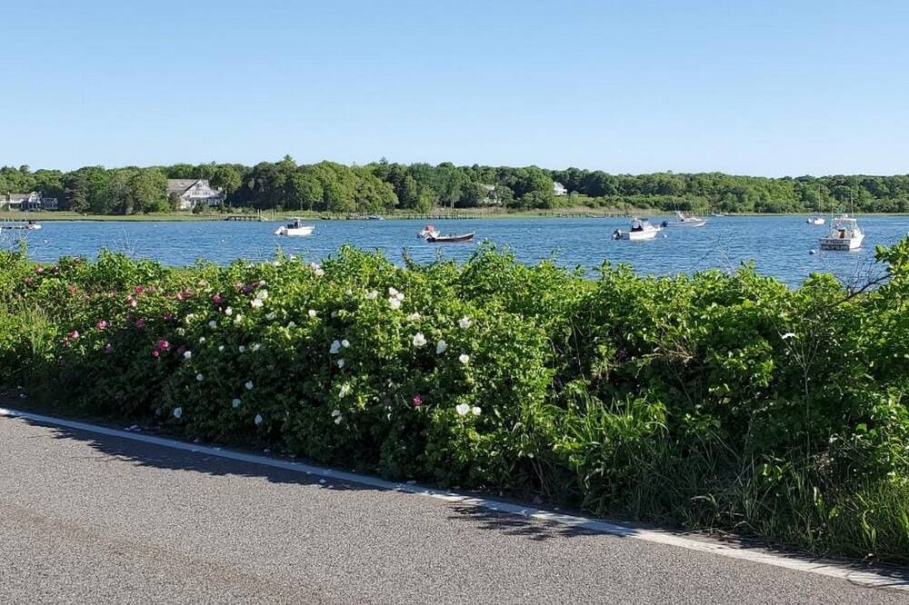 Photo of Others in Osterville