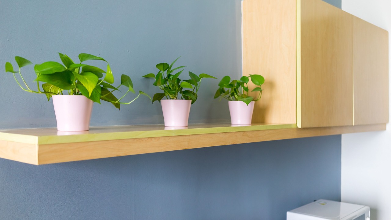 Photo of Others in Damansara Perdana