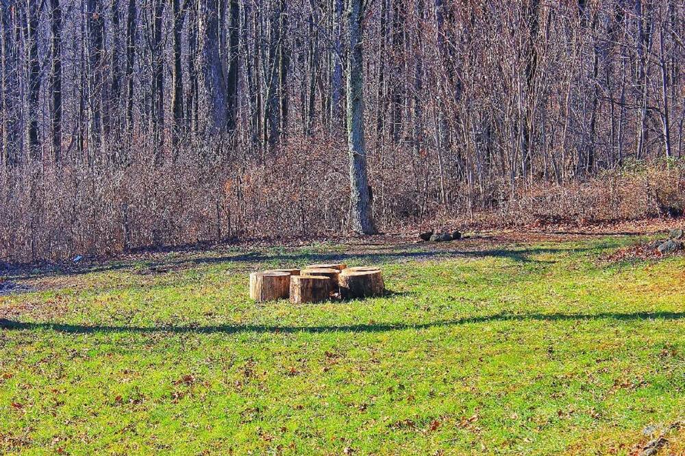 Photo of Outdoor in Linden