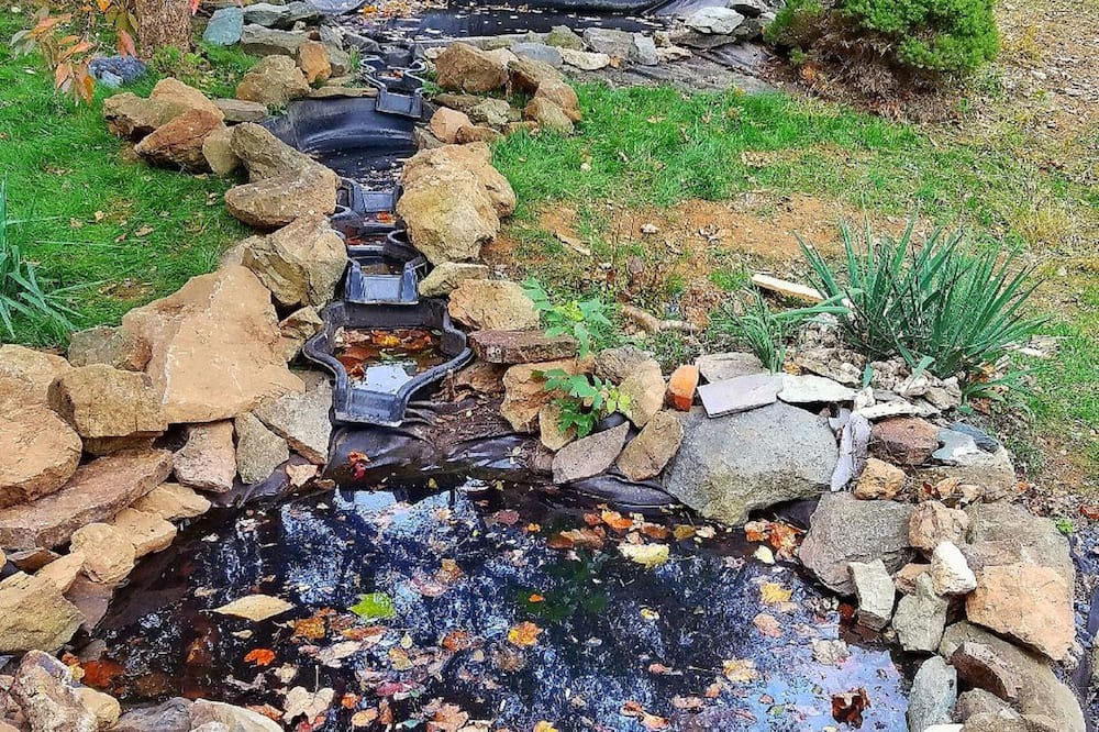 Photo of Outdoor in Linden